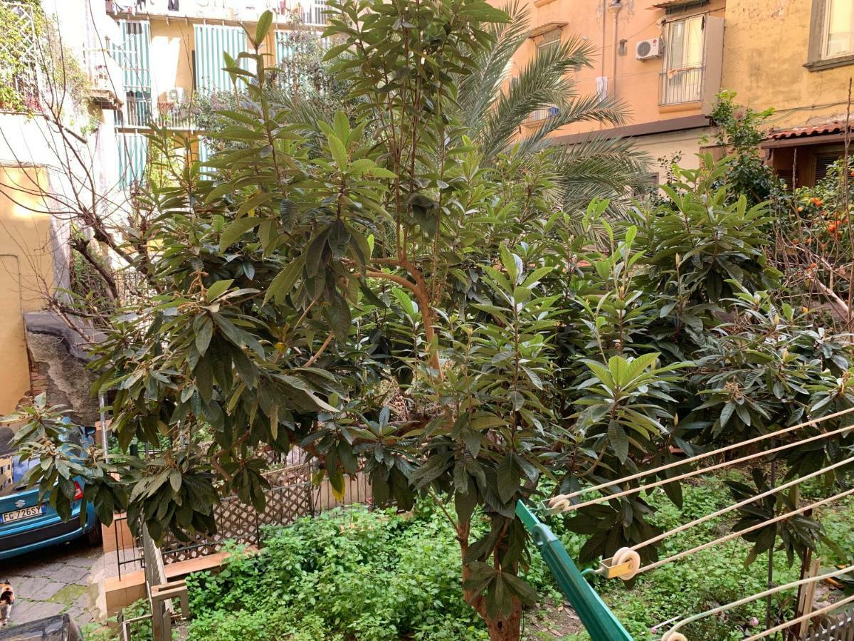 B&B Ninetta Neapel Exterior foto